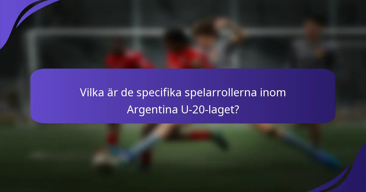 Vilka är de specifika spelarrollerna inom Argentina U-20-laget?