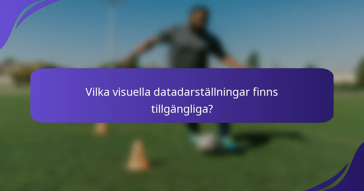 Vilka visuella datadarställningar finns tillgängliga?
